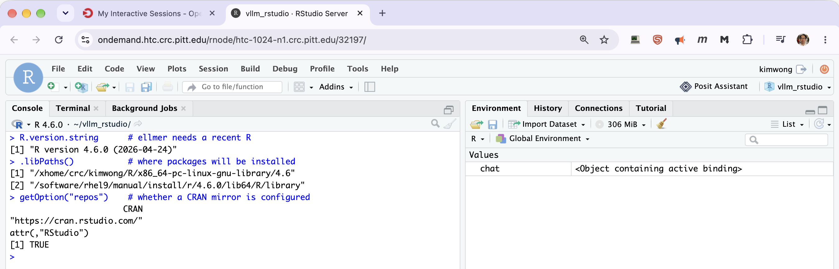 Checking R version, library paths, and CRAN repos