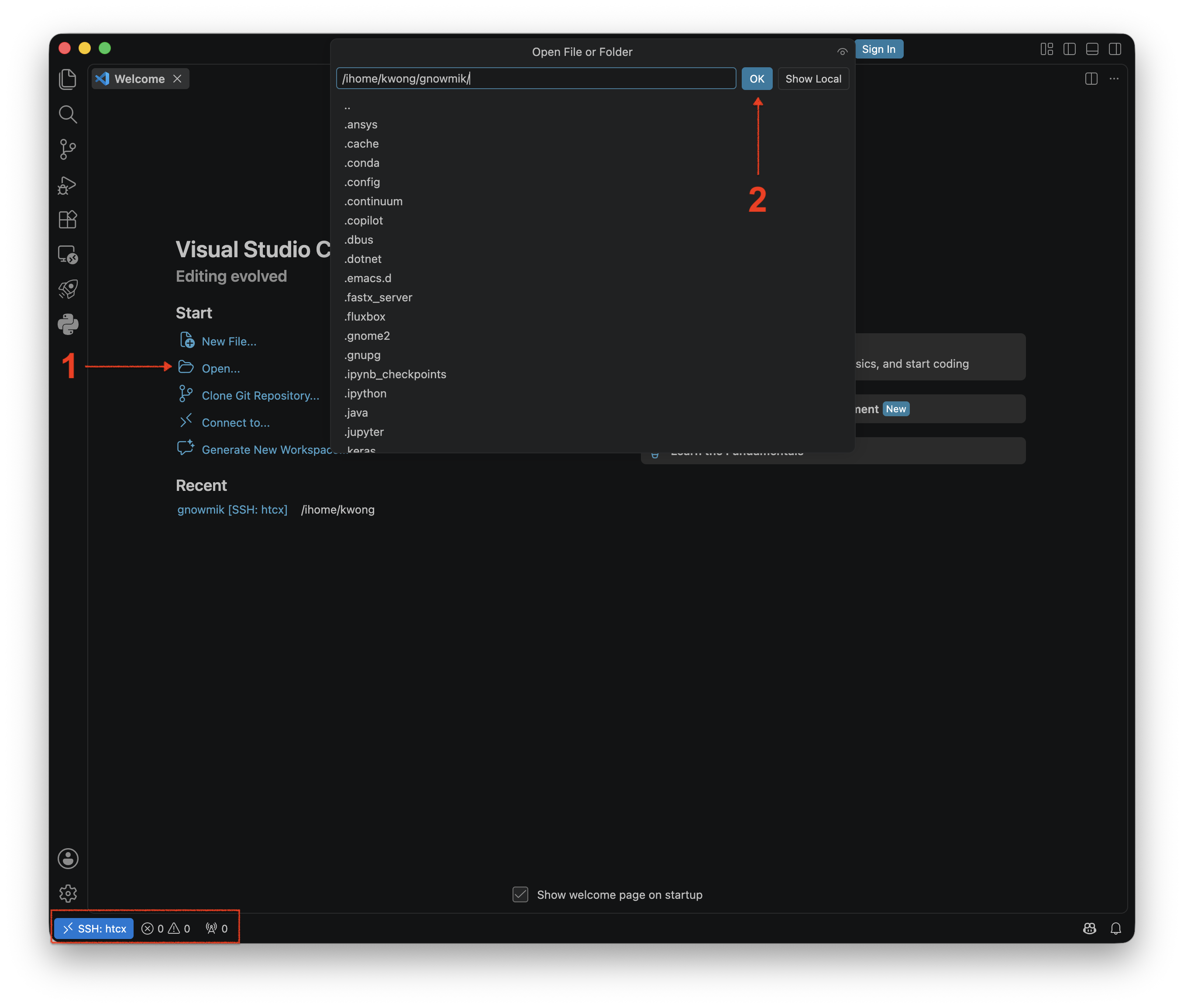 vscode remote filesystem