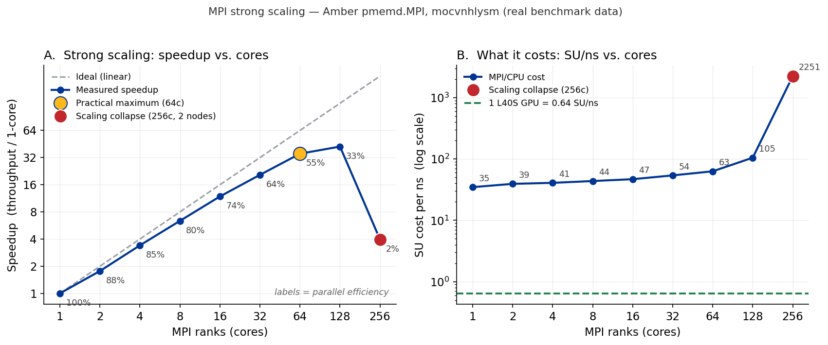 MPI strong-scaling of Amber pmemd.MPI on the mocvnhlysm system. Panel A plots measured speedup against the ideal linear line from 1 to 256 cores, with parallel efficiency labeled at each point; speedup rises to about 42x at 128 cores then collapses to about 4x at 256 cores (roughly the throughput of just 4 cores) when the job spans two nodes. Panel B plots SU cost per nanosecond on a log scale, rising gently from 35 at one core to 105 at 128 cores and exploding to about 2,250 at 256 cores, all far above the dashed reference line marking one L40S GPU at 0.64 SU per ns.